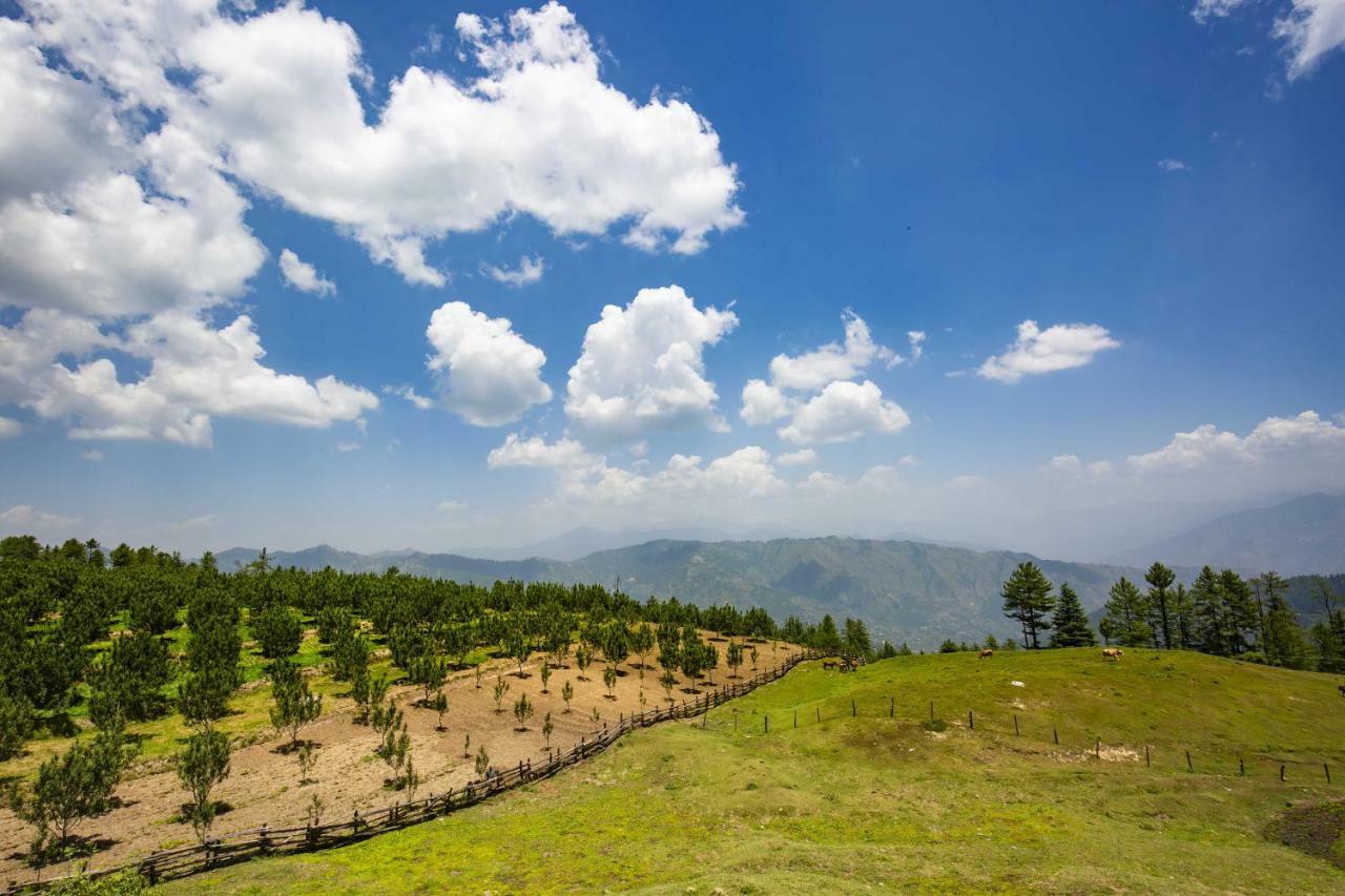 Zostel Homes Kotkhai  Shimla Exterior foto