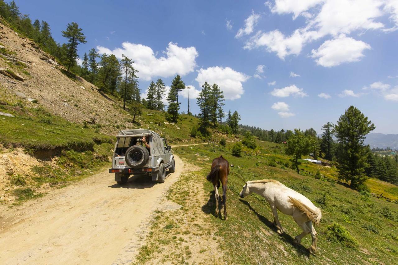 Zostel Homes Kotkhai  Shimla Exterior foto